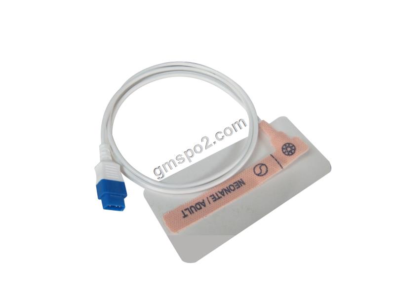 IMG_1296 副本 .jpg