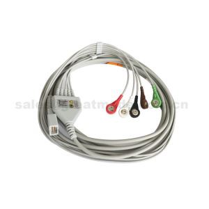 Compatibile con MEK MP1000, MP600, MP500, cavo paziente ECG monopezzo con 5 fili conduttori a scatto per monitor paziente.